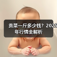 贡菜一斤多少钱？2025年行情全解析（图3）