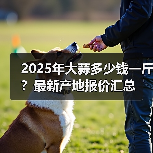 2025年大蒜多少钱一斤？最新产地报价汇总（图4）