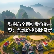梨树苗全国批发价格一览：各地价格对比及优质品种推荐（图4）