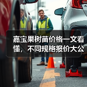 嘉宝果树苗价格一文看懂，不同规格报价大公开！（图1）