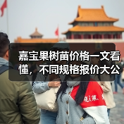 嘉宝果树苗价格一文看懂，不同规格报价大公开！（图4）
