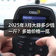 2025年3月大蒜多少钱一斤？多地价格一览（图4）