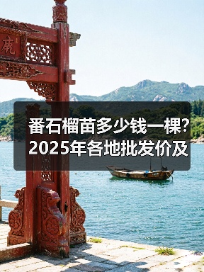 番石榴苗多少钱一棵？2025年各地批发价及选购指南