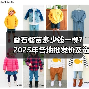 番石榴苗多少钱一棵？2025年各地批发价及选购指南（图4）