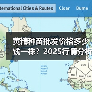 黄精种苗批发价格多少钱一株？2025行情分析