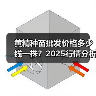 黄精种苗批发价格多少钱一株？2025行情分析（图4）