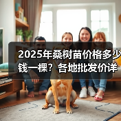 2025年桑树苗价格多少钱一棵？各地批发价详解（图2）