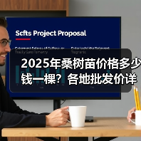 2025年桑树苗价格多少钱一棵？各地批发价详解（图4）