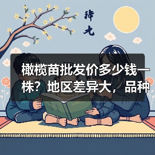 橄榄苗批发价多少钱一株？地区差异大，品种怎么选？（图2）