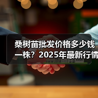 桑树苗批发价格多少钱一株？2025年最新行情解析（图2）