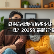 桑树苗批发价格多少钱一株？2025年最新行情解析（图3）