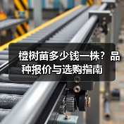 橙树苗多少钱一株？品种报价与选购指南（图2）