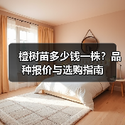 橙树苗多少钱一株？品种报价与选购指南（图3）