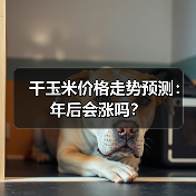 干玉米价格走势预测：年后会涨吗？（图1）