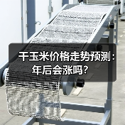 干玉米价格走势预测：年后会涨吗？（图4）