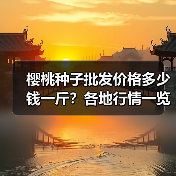 樱桃种子批发价格多少钱一斤？各地行情一览（图2）