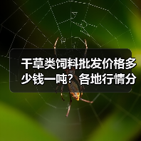 干草类饲料批发价格多少钱一吨？各地行情分析（图4）