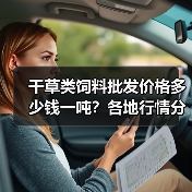 干草类饲料批发价格多少钱一吨？各地行情分析（图3）