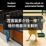 莲雾苗多少钱一棵？各地价格差异全解析（图4）