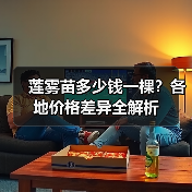 莲雾苗多少钱一棵？各地价格差异全解析（图3）