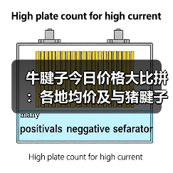 牛腱子今日价格大比拼：各地均价及与猪腱子的区别分析