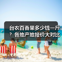台农百香果多少钱一斤？各地产地报价大对比（图1）