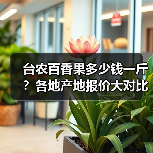 台农百香果多少钱一斤？各地产地报价大对比（图3）