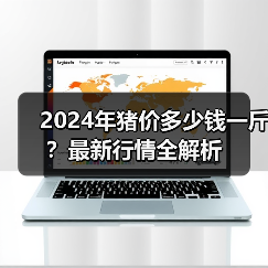 2024年猪价多少钱一斤？最新行情全解析