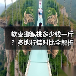 软枣猕猴桃多少钱一斤？多地行情对比全解析（图2）
