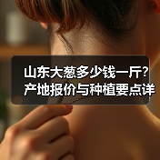 山东大葱多少钱一斤？产地报价与种植要点详解（图2）