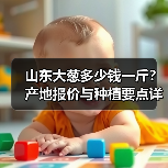 山东大葱多少钱一斤？产地报价与种植要点详解（图3）