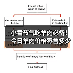 小雪节气吃羊肉必备！今日羊肉价格零售多少？（图3）