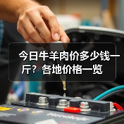 今日牛羊肉价多少钱一斤？各地价格一览（图3）