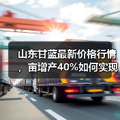 山东甘蓝最新价格行情，亩增产40%如何实现？