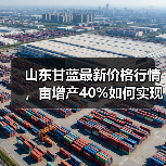 山东甘蓝最新价格行情，亩增产40%如何实现？（图2）