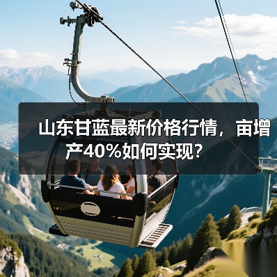 山东甘蓝最新价格行情，亩增产40%如何实现？（图4）