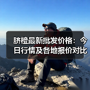 脐橙最新批发价格：今日行情及各地报价对比（图2）
