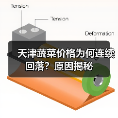 天津蔬菜价格为何连续回落?原因揭秘(图4) 天津蔬菜价格为何连续回落?原因揭秘(图4)