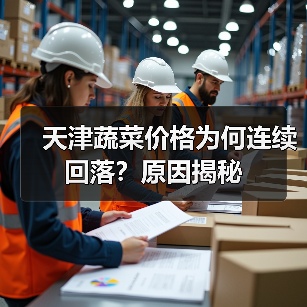 天津蔬菜价格为何连续回落?原因揭秘(图3) 天津蔬菜价格为何连续回落?原因揭秘(图3)