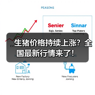 生猪价格持续上涨?全国最新行情来了!(图4) 生猪价格持续上涨?全国最新行情来了!(图4)