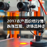 2017农产品价格行情:跌涨互现,这些品种走势值得关注(图3) 2017农产品价格行情:跌涨互现,这些品种走势值得关注(图3)