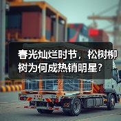 春光灿烂时节,松树柳树为何成热销明星?(图1) 春光灿烂时节,松树柳树为何成热销明星?(图1)