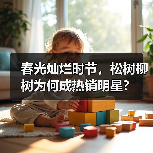 春光灿烂时节,松树柳树为何成热销明星?(图2) 春光灿烂时节,松树柳树为何成热销明星?(图2)