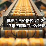 枇杷今日价格多少？2017年济南堤口批发行情全解析