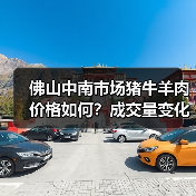 佛山中南市场猪牛羊肉价格如何?成交量变化分析(图3) 佛山中南市场猪牛羊肉价格如何?成交量变化分析(图3)