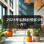 2026年石斛价格多少钱一斤?(图4) 2026年石斛价格多少钱一斤?(图4)