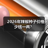 2026年辣椒种子价格多少钱一两?(图2) 2026年辣椒种子价格多少钱一两?(图2)