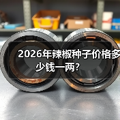 2026年辣椒种子价格多少钱一两?(图3) 2026年辣椒种子价格多少钱一两?(图3)