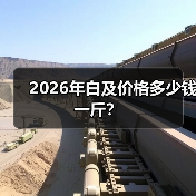 2026年白及价格多少钱一斤?(图4) 2026年白及价格多少钱一斤?(图4)
