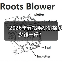 2026年五指毛桃价格多少钱一斤?(图3) 2026年五指毛桃价格多少钱一斤?(图3)